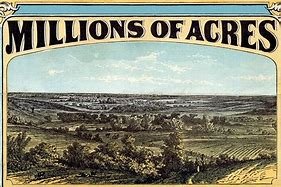 how did speculators take advantage of the homestead act